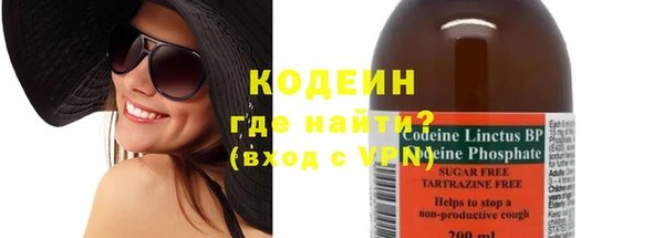 шишки Горнозаводск