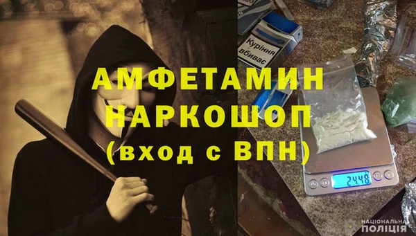шишки Горнозаводск