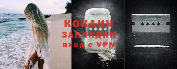 шишки Горнозаводск