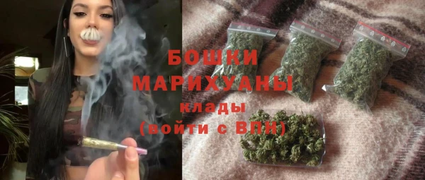 шишки Горнозаводск
