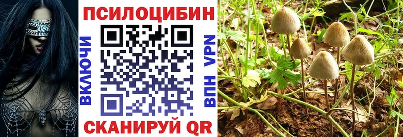 Галлюциногенные грибы Magic Shrooms  Мещовск 